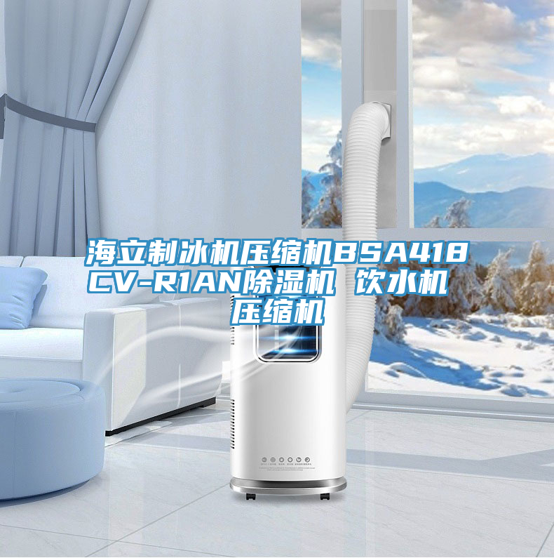 海立製冰機壓縮機BSA418CV-R1AN草莓小视频黄色 飲水機 壓縮機