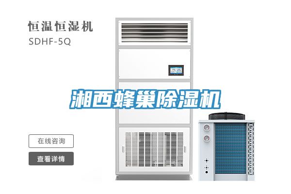 湘西蜂巢草莓小视频黄色