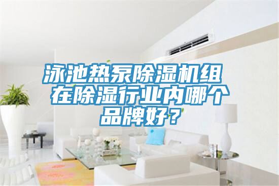 泳池熱泵草莓小视频黄色組 在除濕行業內哪個品牌好？