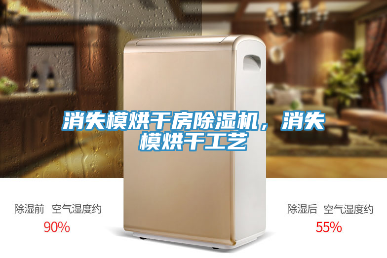 消失模烘幹房草莓小视频黄色，消失模烘幹工藝