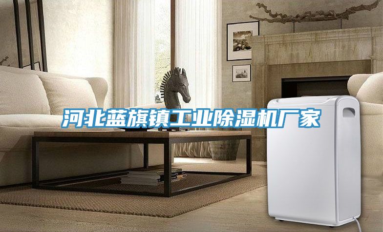 河北藍旗鎮工業草莓小视频黄色廠家