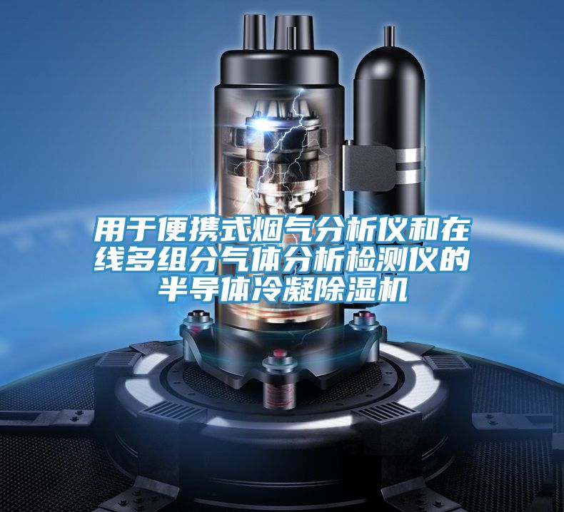 用於便攜式煙氣分析儀和在線多組分氣體分析檢測儀的半導體冷凝草莓小视频黄色