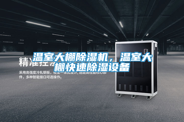 溫室大棚草莓小视频黄色，溫室大棚快速除濕設備