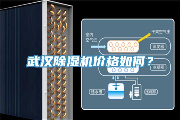 武漢草莓小视频黄色價格如何？