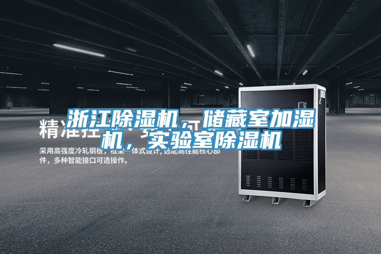 浙江草莓小视频黄色，儲藏室加濕機，實驗室草莓小视频黄色