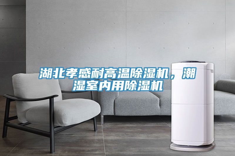 湖北孝感耐高溫草莓小视频黄色，潮濕室內用草莓小视频黄色