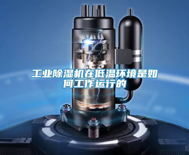 工業草莓小视频黄色在低溫環境是如何工作運行的