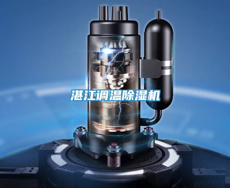 湛江調溫草莓小视频黄色