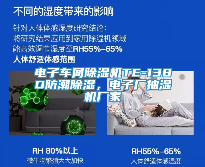 電子車間草莓小视频黄色TE-138D防潮除濕，電子廠抽濕機廠家