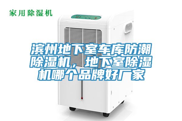 濱州地下室車庫防潮草莓小视频黄色，地下室草莓小视频黄色哪個品牌好廠家