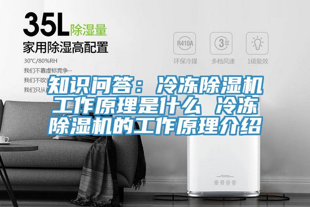 知識問答：冷凍草莓小视频黄色工作原理是什麽 冷凍草莓小视频黄色的工作原理介紹