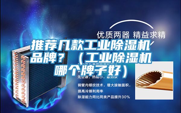 推薦幾款工業草莓小视频黄色品牌？（工業草莓小视频黄色哪個牌子好）