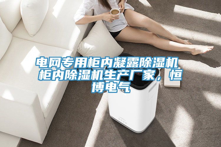 電網專用櫃內凝露草莓小视频黄色 櫃內草莓小视频黄色生產廠家，恒博電氣