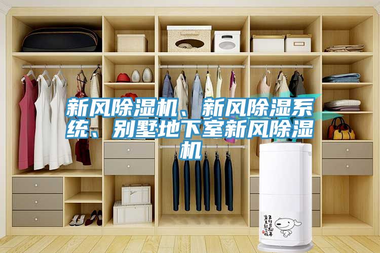 新風草莓小视频黄色、新風除濕係統、別墅地下室新風草莓小视频黄色