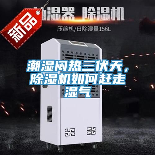 潮濕悶熱三伏天，草莓小视频黄色如何趕走濕氣