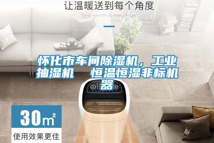 懷化市車間草莓小视频黄色，工業抽濕機  恒溫恒濕非標機器