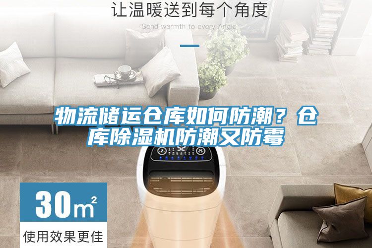 物流儲運倉庫如何防潮？倉庫草莓小视频黄色防潮又防黴