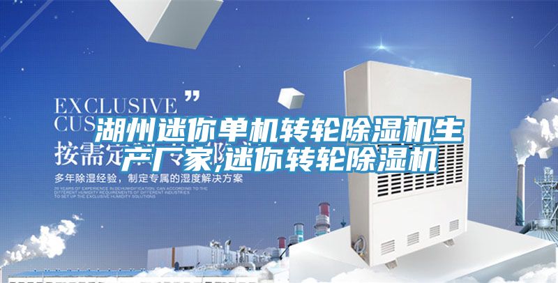 湖州迷你單機轉輪草莓小视频黄色生產廠家,迷你轉輪草莓小视频黄色