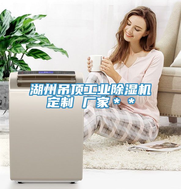 湖州吊頂工業草莓小视频黄色定製 廠家**