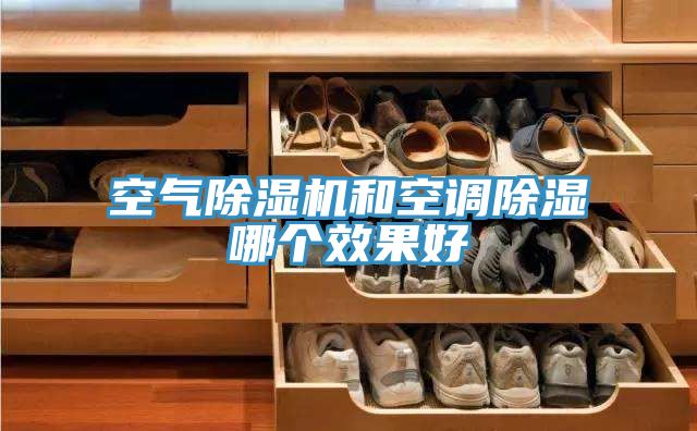 空氣草莓小视频黄色和空調除濕哪個效果好