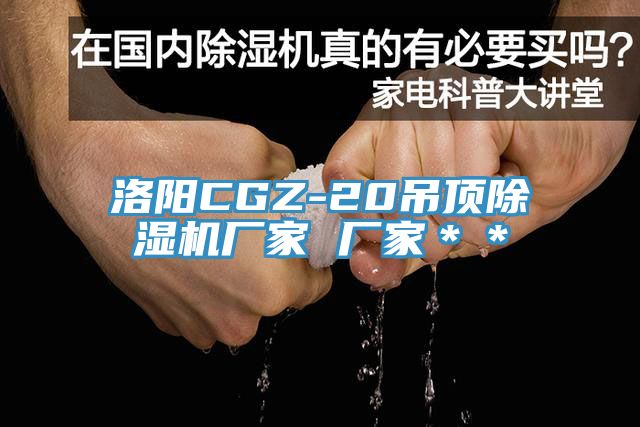 洛陽CGZ-20吊頂草莓小视频黄色廠家 廠家＊＊