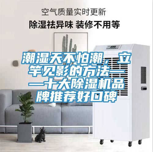 潮濕天不怕潮，立竿見影的方法——十大草莓小视频黄色品牌推薦好口碑