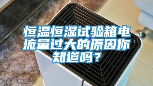 恒溫恒濕試驗箱電流量過大的原因你知道嗎？