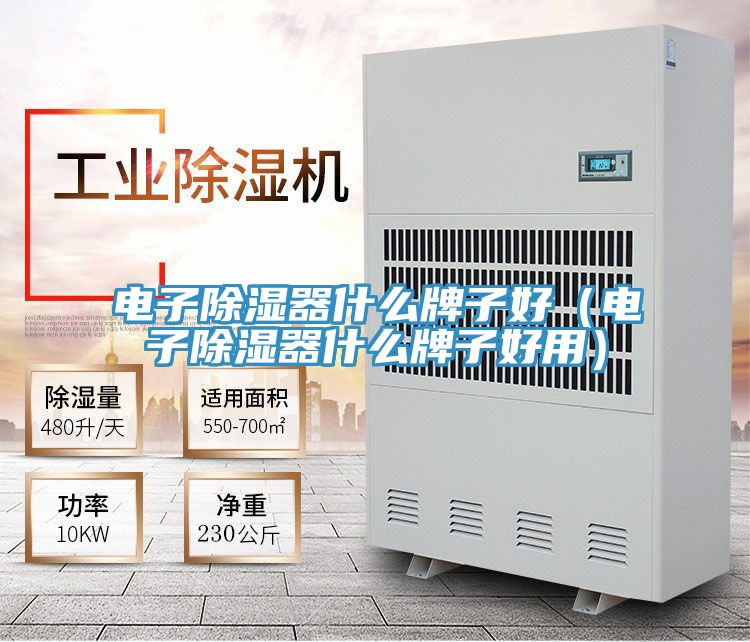 電子除濕器什麽牌子好(電子除濕器什麽牌子好用)