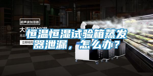 恒溫恒濕試驗箱蒸發器泄漏，怎麽辦？