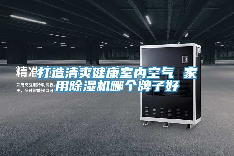 打造清爽健康室內空氣 家用草莓小视频黄色哪個牌子好