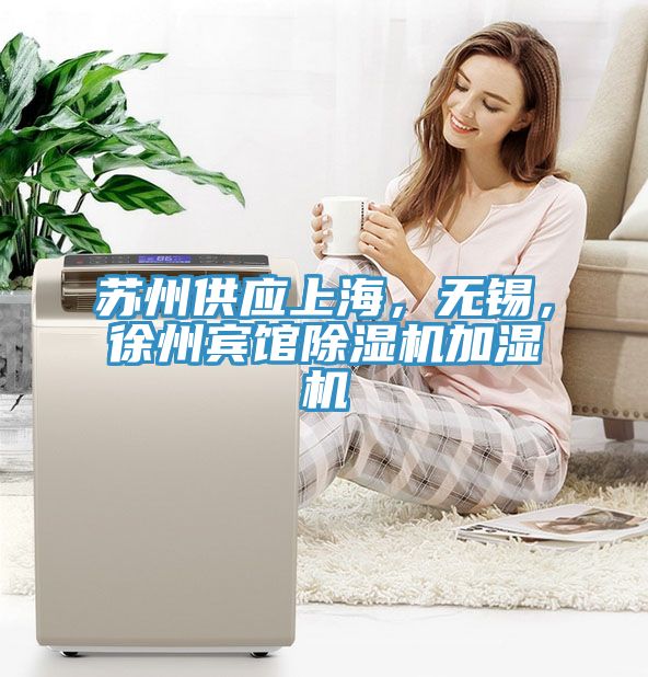 蘇州供應上海，無錫，徐州賓館草莓小视频黄色加濕機