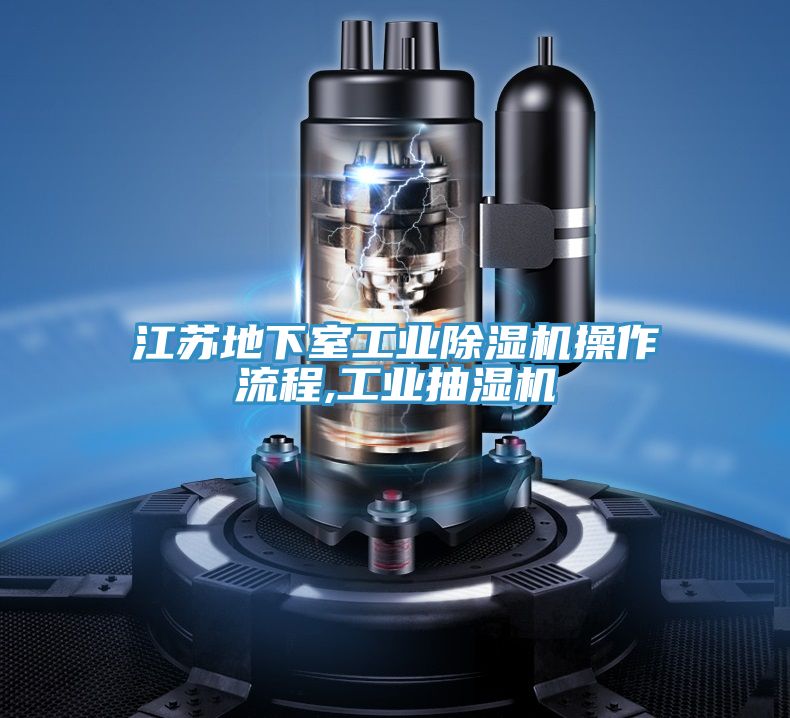 江蘇地下室工業草莓小视频黄色操作流程,工業抽濕機