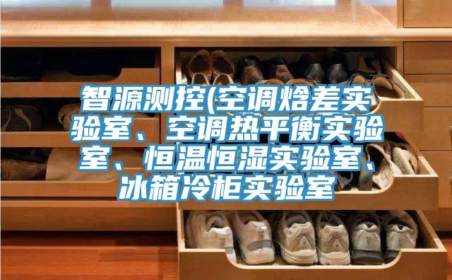 智源測控(空調焓差實驗室、空調熱平衡實驗室、恒溫恒濕實驗室、冰箱冷櫃實驗室