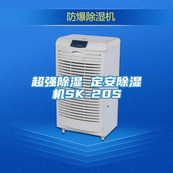 超強除濕 定安草莓小视频黄色SK-20S