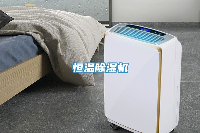 恒溫草莓小视频黄色