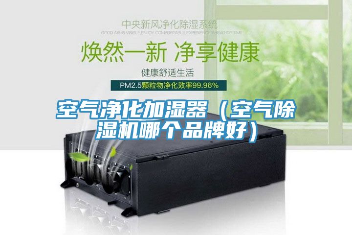 空氣淨化加濕器(空氣草莓小视频黄色哪個品牌好)