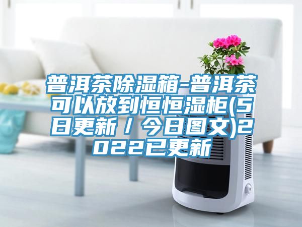 普洱茶除濕箱-普洱茶可以放到恒恒濕櫃(5日更新/今日圖文)2022已更新