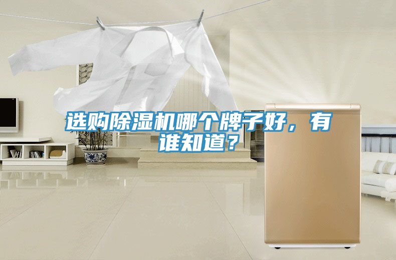 選購草莓小视频黄色哪個牌子好，有誰知道？