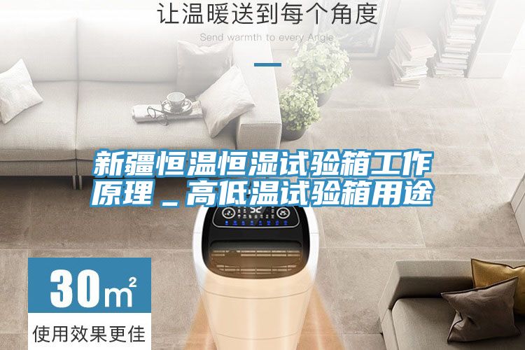 新疆恒溫恒濕試驗箱工作原理_高低溫試驗箱用途