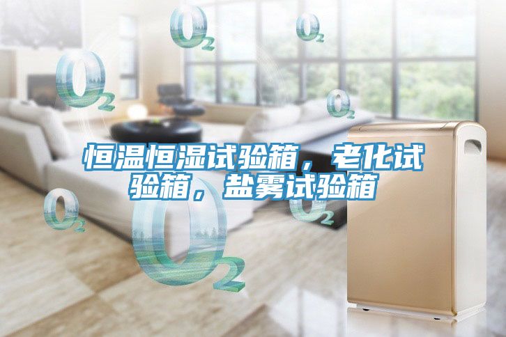 恒溫恒濕試驗箱，老化試驗箱，鹽霧試驗箱