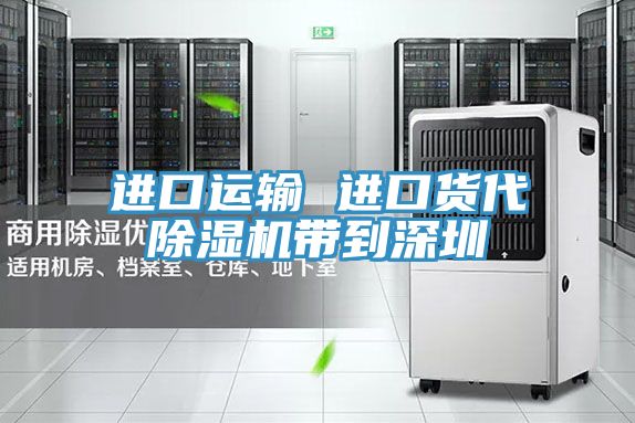 進口運輸 進口貨代草莓小视频黄色帶到深圳