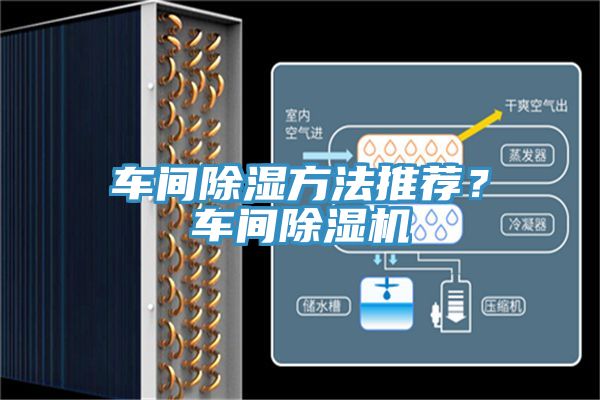 車間除濕方法推薦？車間草莓小视频黄色