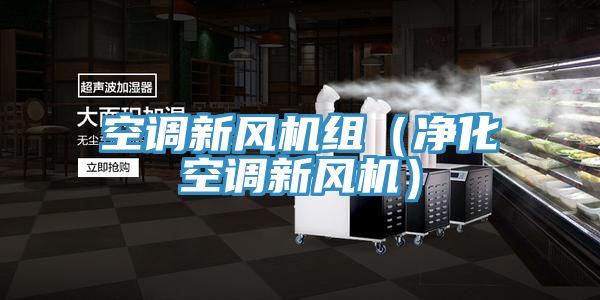 空調新風機組(淨化空調新風機)