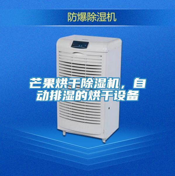 芒果烘幹草莓小视频黄色，自動排濕的烘幹設備