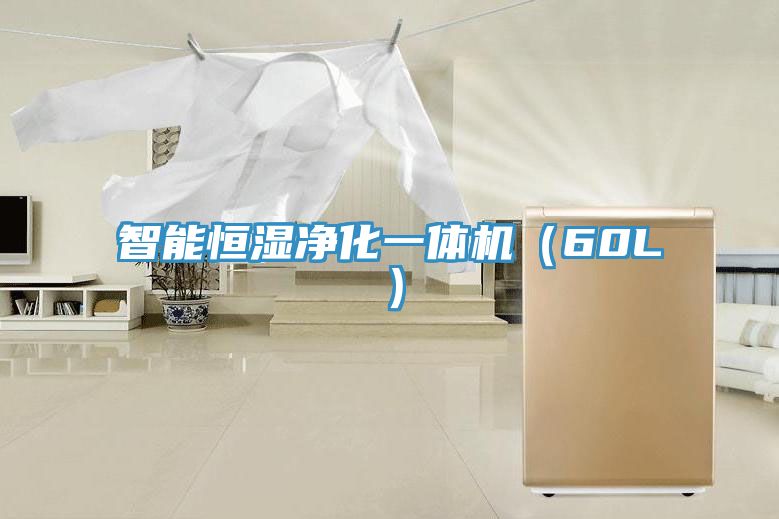智能恒濕淨化一體機(60L)