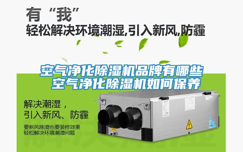 空氣淨化草莓小视频黄色品牌有哪些 空氣淨化草莓小视频黄色如何保養