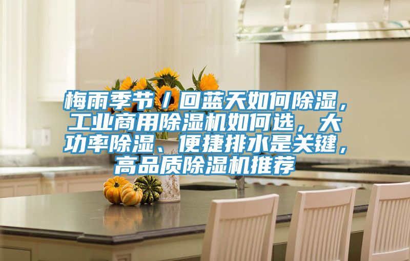 梅雨季節／回藍天如何除濕，工業商用草莓小视频黄色如何選，大功率除濕、便捷排水是關鍵，高品質草莓小视频黄色推薦