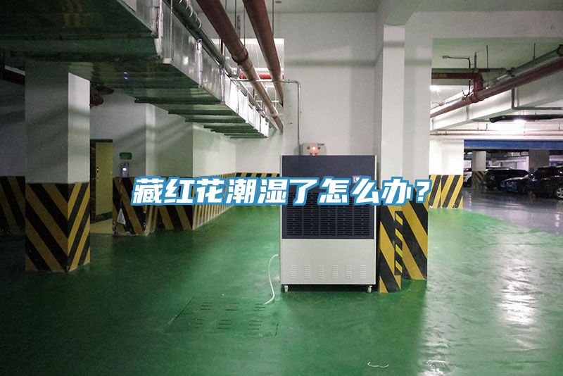 藏紅花潮濕了怎麽辦？