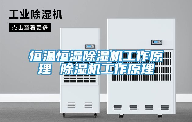 恒溫恒濕草莓小视频黄色工作原理 草莓小视频黄色工作原理