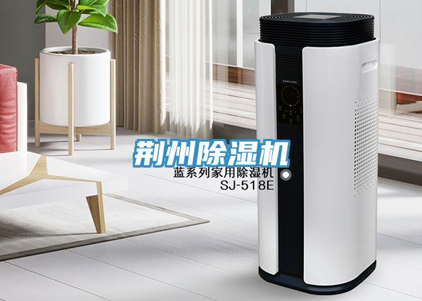 荊州草莓小视频黄色